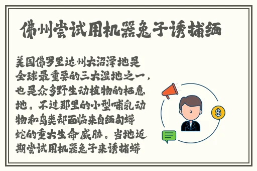 国产国拍亚洲精品永久污